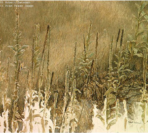 Robert Bateman-goldfinch with mullein