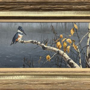 Seerey-Lester - Rain Watch - Belted Kingfisher