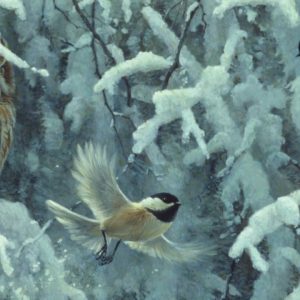 Robert Bateman - Scolding Chickadees and Screech Owl