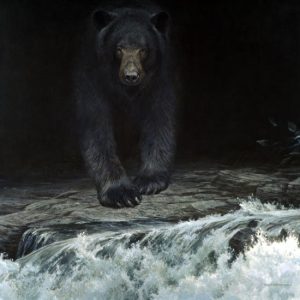 Robert Bateman - Big Black